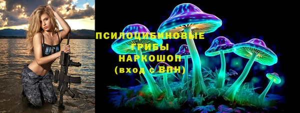 прущие крисы Алексин