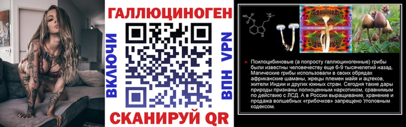 Галлюциногенные грибы мицелий mega зеркало Бежецк закладка